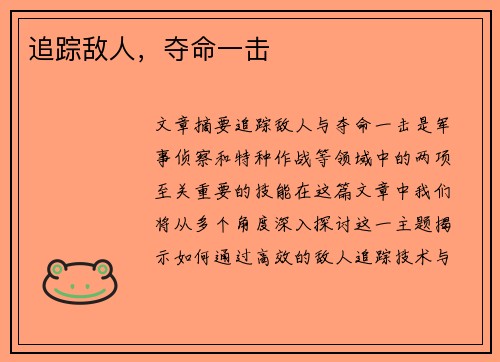 追踪敌人，夺命一击　